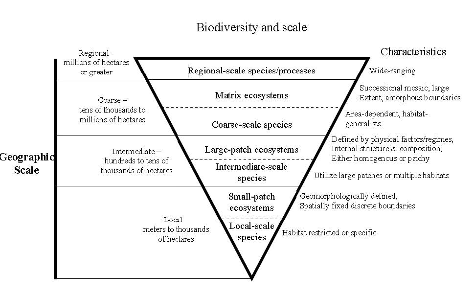 Biodiversity and Scale figure 2.1