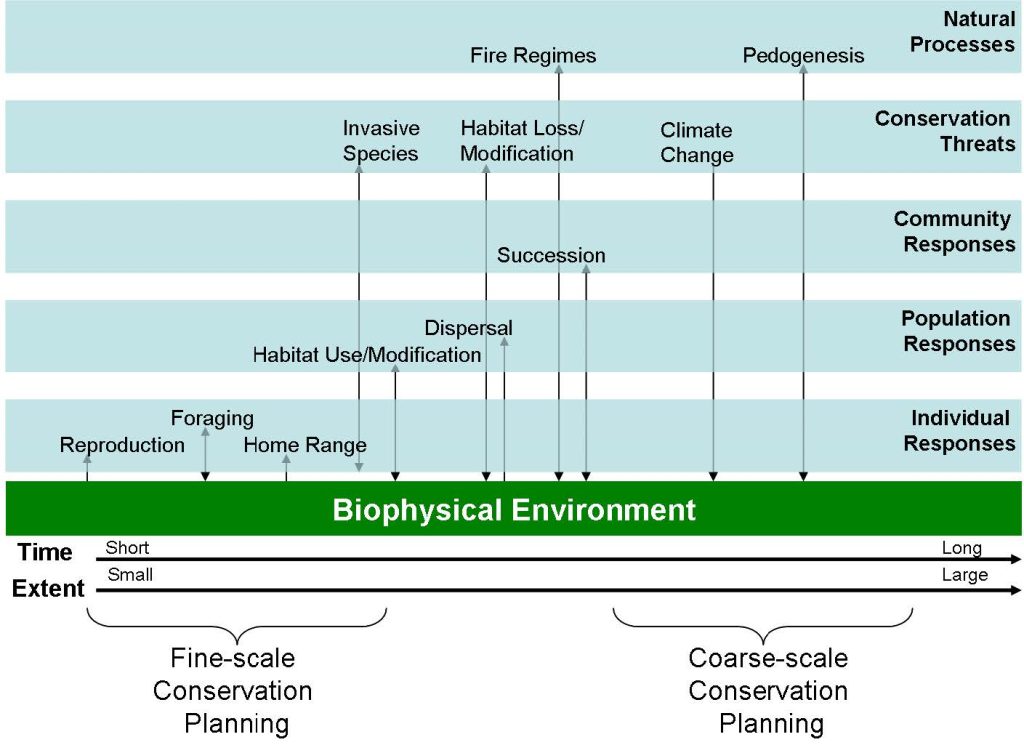 Figure 2.2. Biological, management, and biophysical process