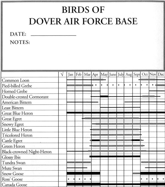 Birds of Dover Air Force Base