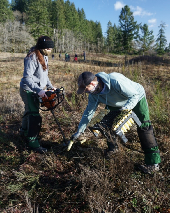 Volunteers at Joint Base Lewis-McChord in Washington protected the last viable population of Taylor’s checkerspot butterflies by surveying the prairie, clearing invasive shrubs, and prepping the planting site.